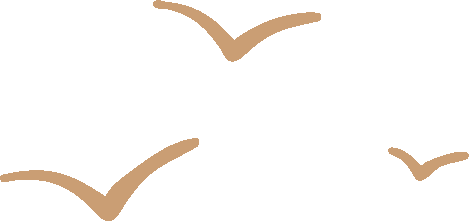 一键多维，绿色智造：康丽Atlas MAX PLUS开启印花新时代(图4)