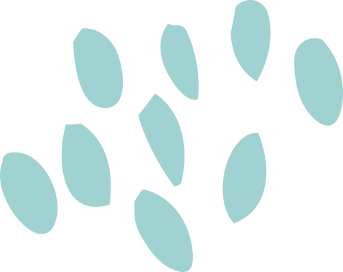 柜台商品定制 & 生产解决方案【上海华颜奢侈品包装展】(图2)