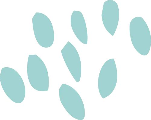 柜台商品定制 & 生产解决方案【上海华颜奢侈品包装展】(图7)